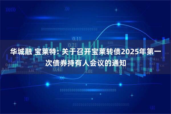 华城融 宝莱特: 关于召开宝莱转债2025年第一次债券持有人会议的通知